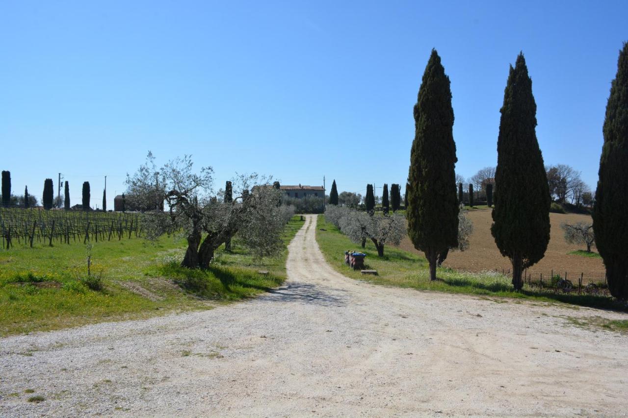 Villa Scappo In Umbria, Casale Monti Montoro  Exterior foto